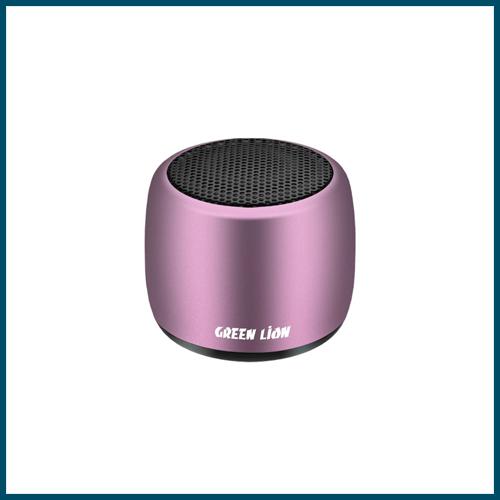 GreenLion Mini Speaker