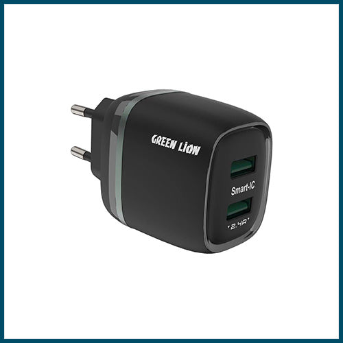 Green Lion Dual USB 12W Wall Charger With USB-A To USB-C Cable